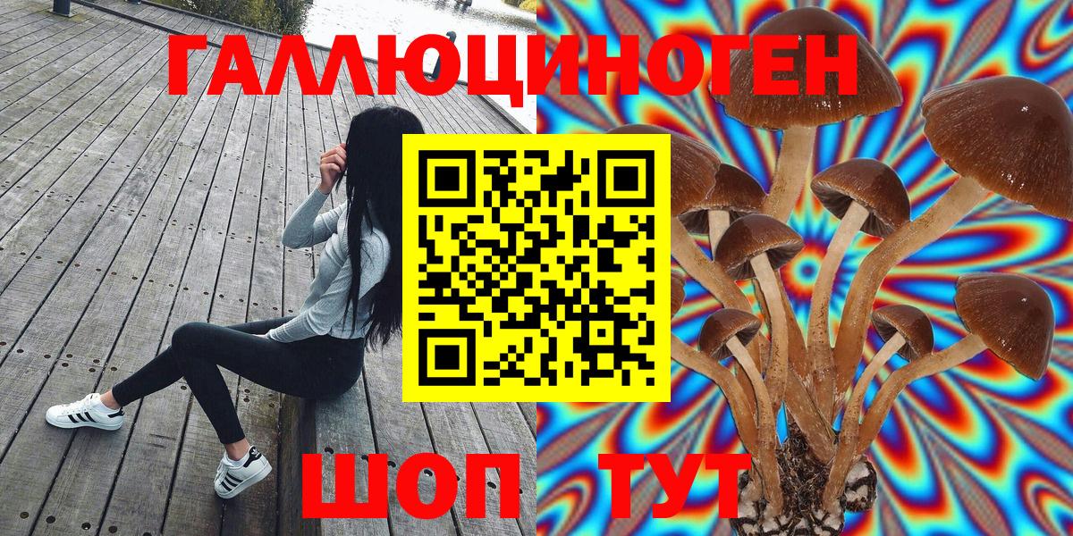 Псилоцибиновые грибы мицелий  цена   Обнинск  Галлюциногенные грибы мухоморы  Вход с VPN 