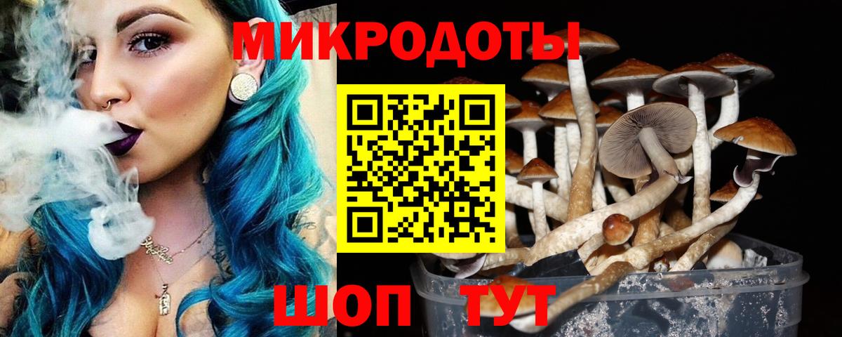 Галлюциногенные грибы MAGIC MUSHROOMS Обнинск